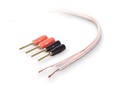 ؐQףϺ޹˾:AV23002zh100 PureAV 18-