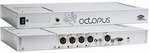 Phoenixhϵy(tng)߅Octopus-----cŴ