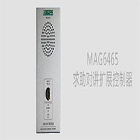 DSPPA(ʿ)IPWjV:MAG6465