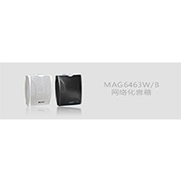 DSPPA(ʿ)IPWjV:MAG6463