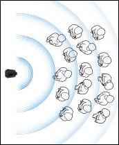 Bose L1 CompactʘU(ku)ϵy(tng)l(f)(hu)